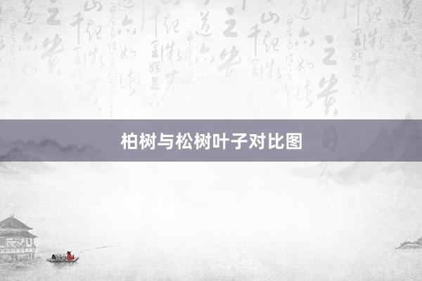 柏树与松树叶子对比图