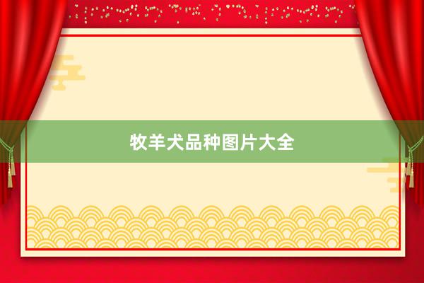 牧羊犬品种图片大全