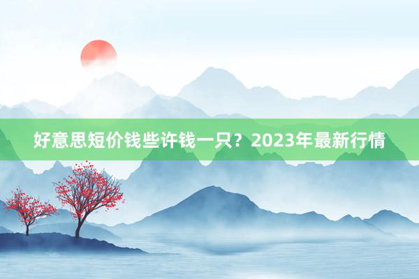 好意思短价钱些许钱一只？2023年最新行情